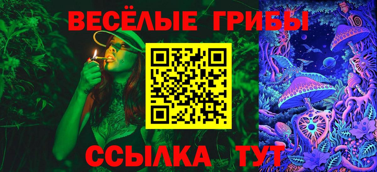 Галлюциногенные грибы GOLDEN TEACHER  Вход с VPN  цена наркотик  Рыбинск 
