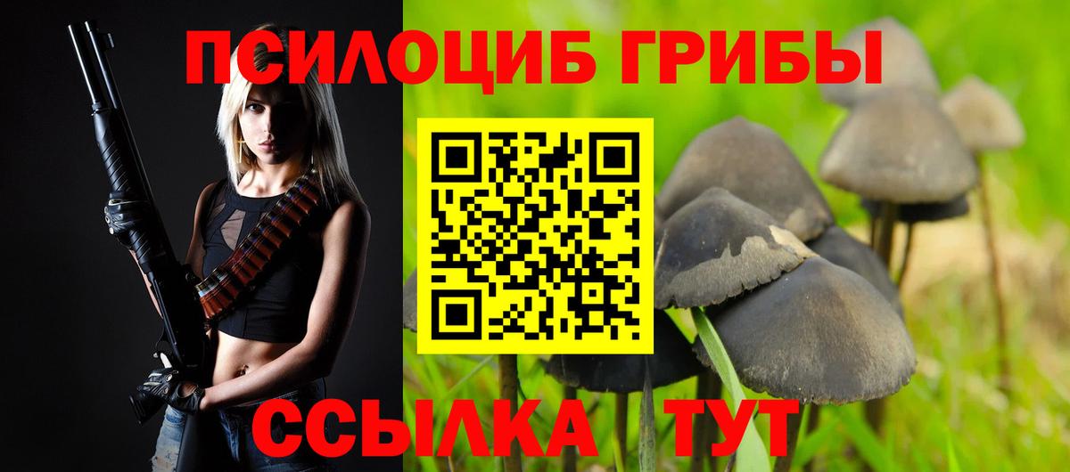 Галлюциногенные грибы Magic Shrooms Рыбинск